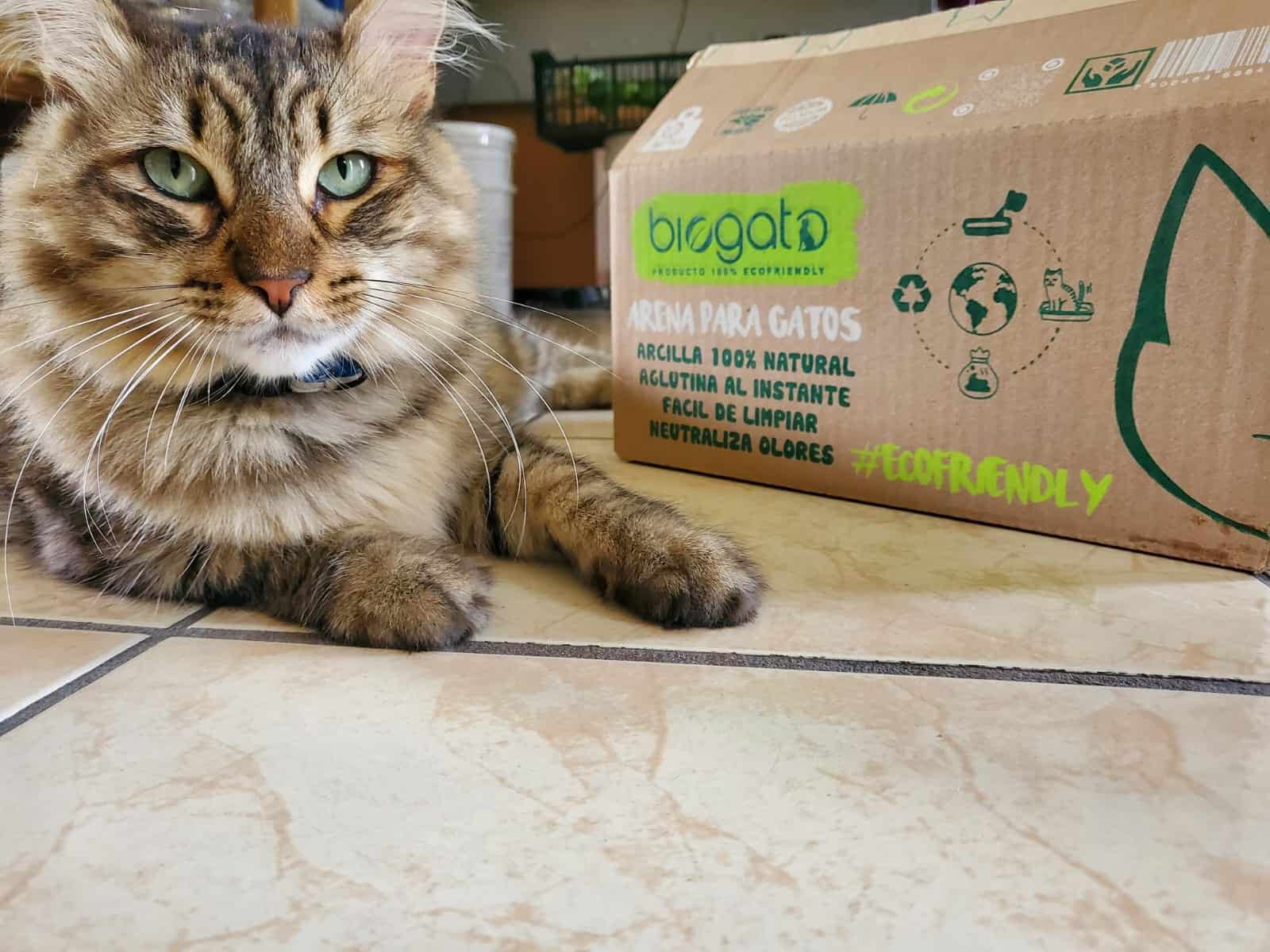 Arena para gatos 5KG 2 Gato junto a caja de productos ecológicos para mascotas, promoviendo cuidado responsable y sostenibi.
