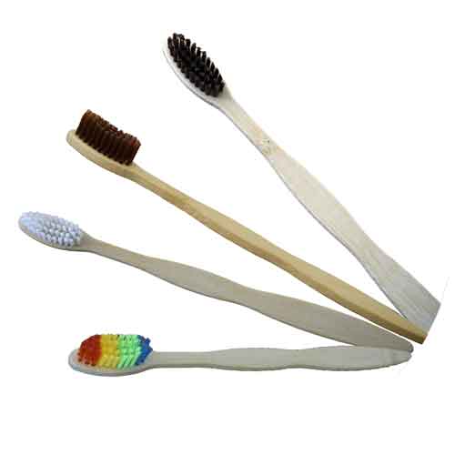 Cepillo de Dientes 1pza - Image 2