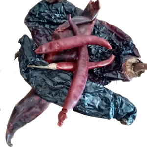 chiles agroecológicos