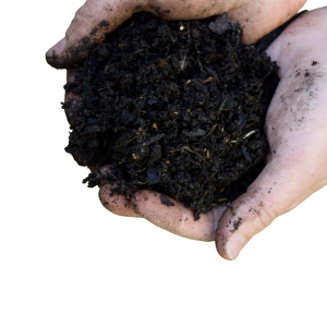 Humus de lombriz 5lt – 1lt