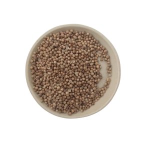 semilla de cilantro