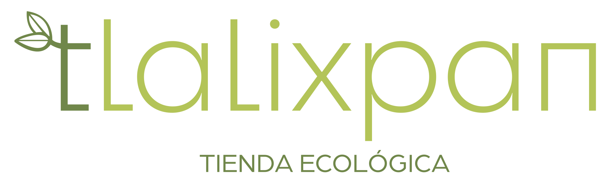 tlalixpan.com
