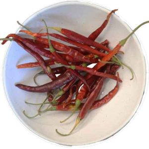 chile de árbol -yahualica